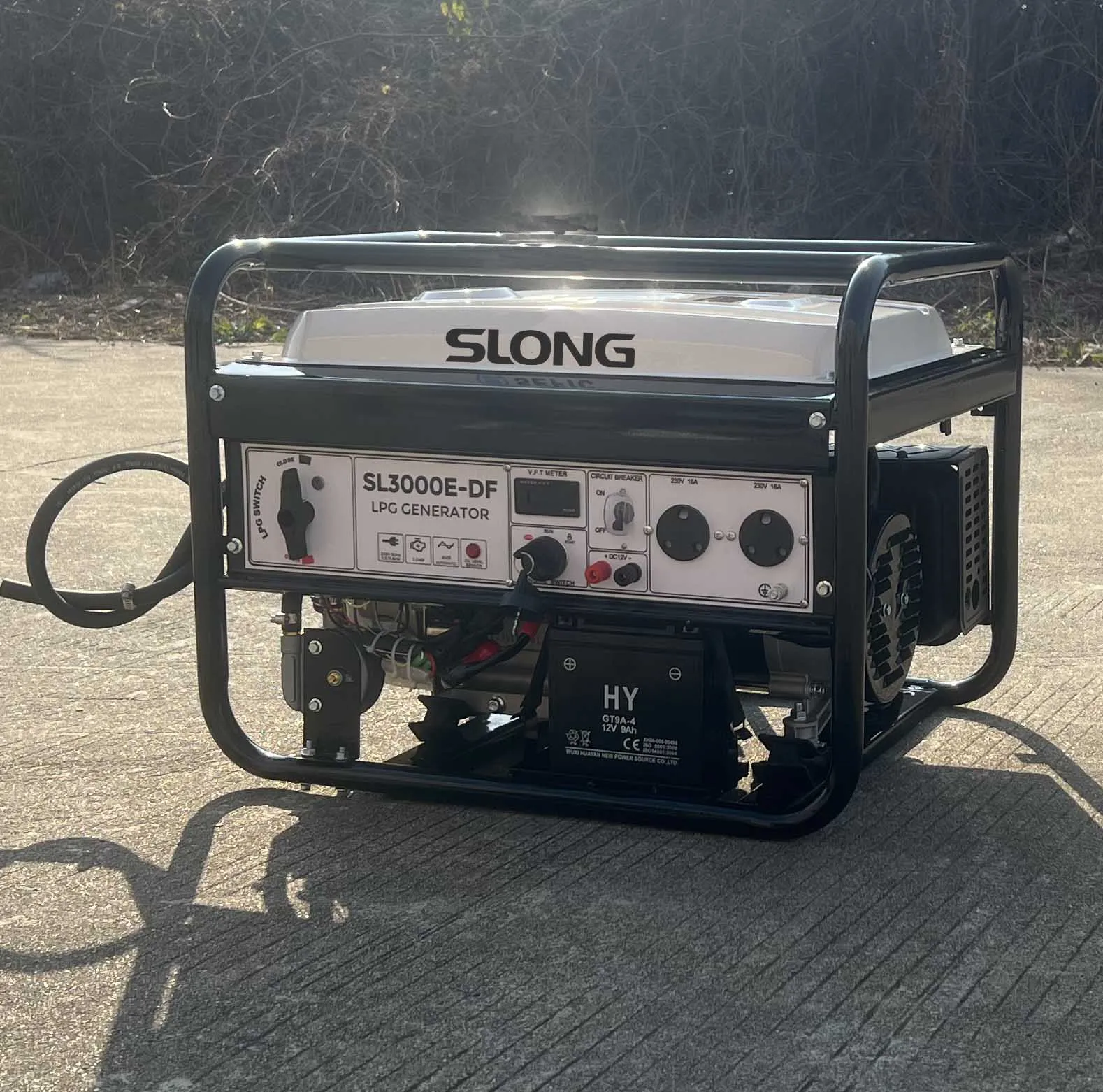 China Standby Generator Lpg Gas 3kw Genset