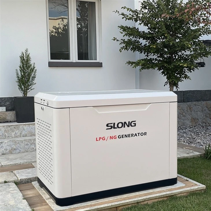 Producător de generator de combustibil dublu de gaz în China Generator de gaze naturale de înaltă energie electrică